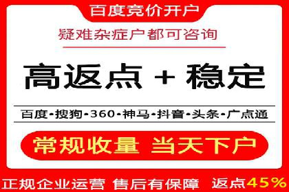推广竞价策略解析：成功案例分享